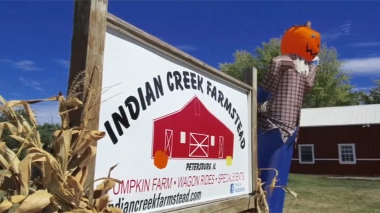 iC